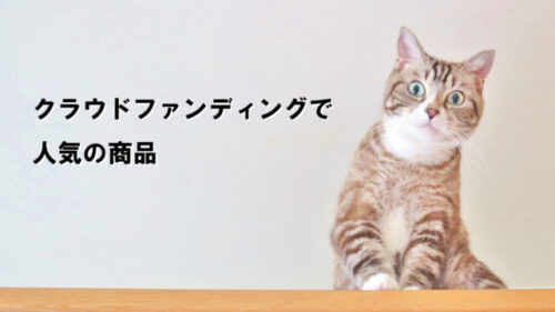 クラウドファンディングで大人気だった猫用品が商品化!!欲しかったアレが買えるかも！
