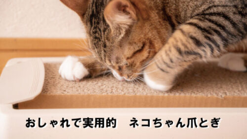 インスタ映え！おしゃれなねこちゃん用 爪とぎ