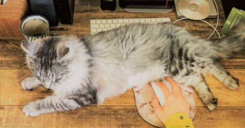 ブログアイキャッチ3