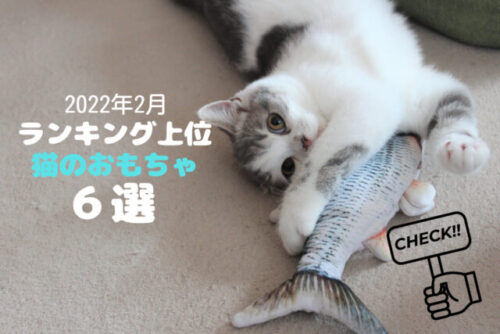 アイキャッチ９