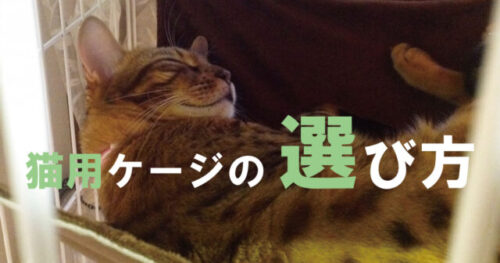 猫のケージの選び方 おすすめもご紹介！
