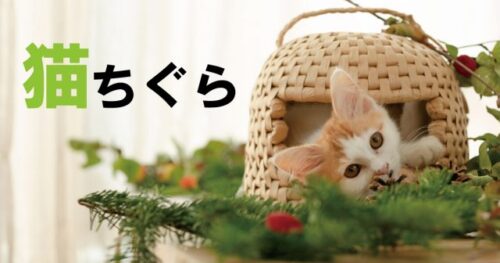 ブログアイキャッチ12