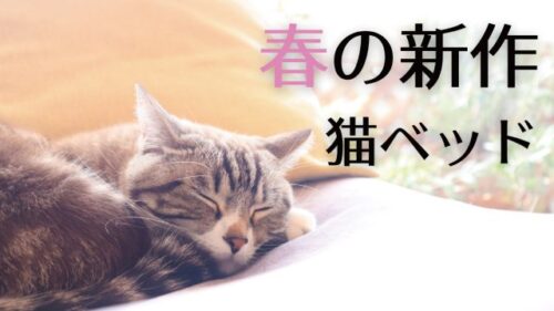 【春の新作】 機能的でおしゃれな猫ベットをご紹介！