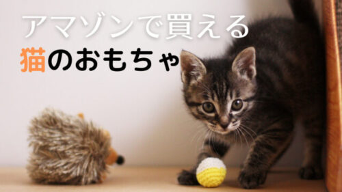アマゾンで買える！人気の猫のおもちゃ