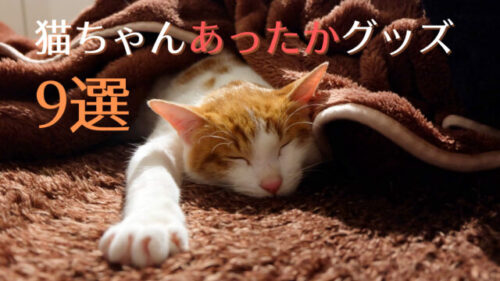 暖かい毛布の中で猫が幸せそうに寝ています