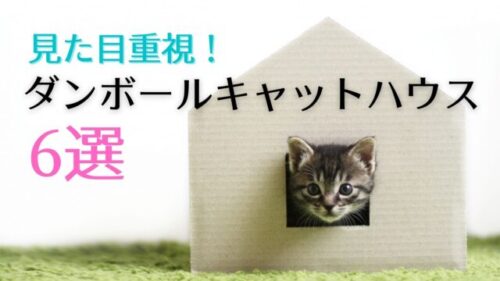 ダンボール キャットハウス かわいい！面白い！見た目重視のおすすめ6選！