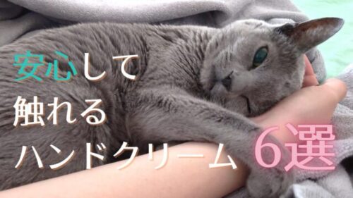 猫がなめても大丈夫なハンドクリームって？猫飼いさんのための安心ケアアイテム６選！