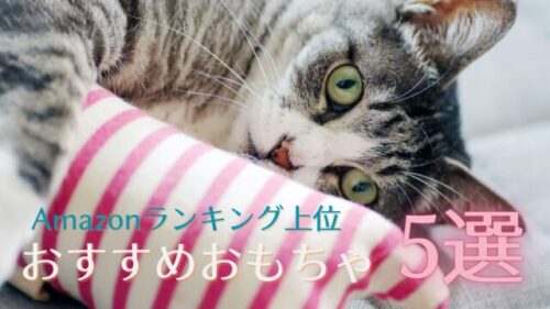 猫がおもちゃのぬいぐるみを抱えて横たわっています