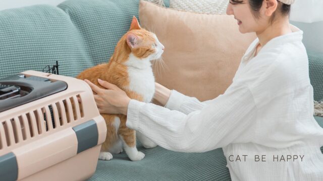 女性がソファの上のキャリーケースに猫を入れようとして微笑んでいます